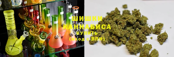 хмурый Бородино