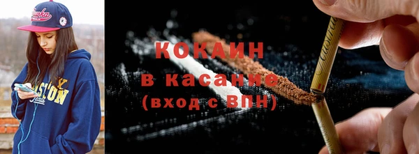хмурый Бородино