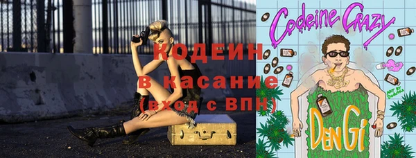 хмурый Бородино