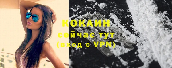 хмурый Бородино