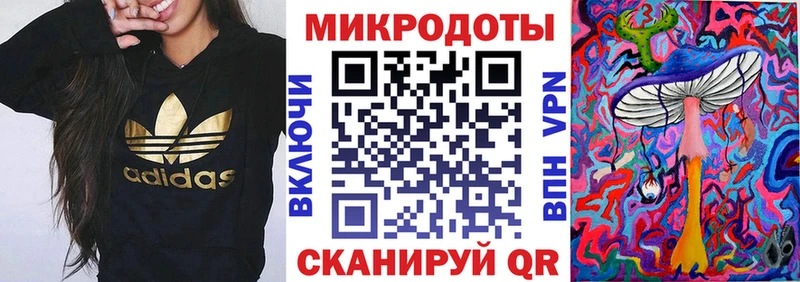 Купить  Балей  Галлюциногенные грибы Psilocybe 